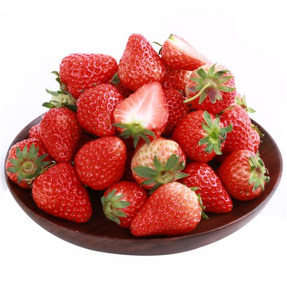 四季草莓