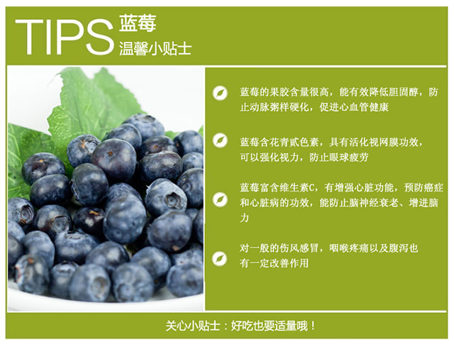青岛蓝莓