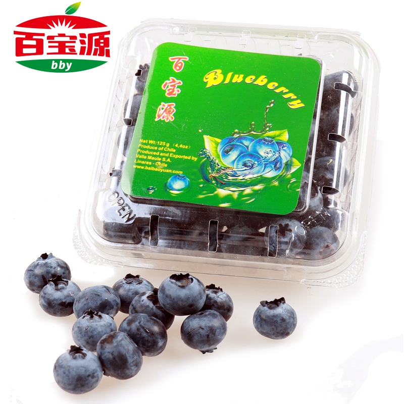 青岛蓝莓
